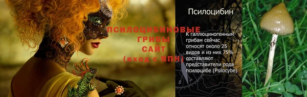 меф Алапаевск