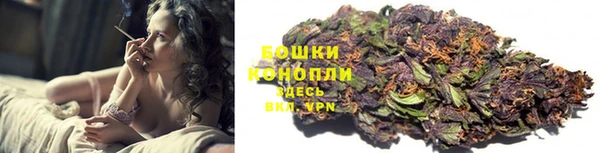 крисы Магадан