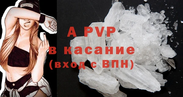 прущие грибы Алагир